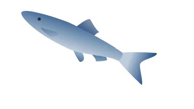 fe74a44f-da68-463a-b65b-4260b36bc767.png?x-oss-process=image%2Fresize%2Cs_360%2Fformat%2Cwebp